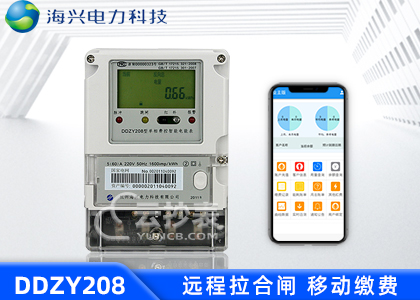 杭州海興DDZY208單相預(yù)付費(fèi)電能表