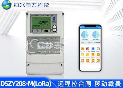 杭州海興DSZY208-M無線LoRa預(yù)付費電能表